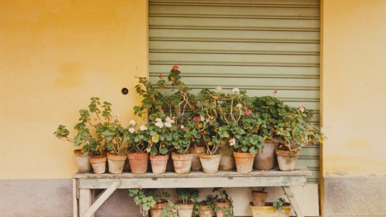 Luigi Ghirri, “Colazione sull’erba”, 1972-74. Comune di Modena, Collezione Galleria Civica - Fondazione Modena Arti Visive © Eredi di Luigi Ghirri